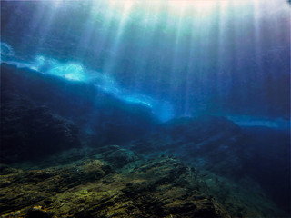 生僻唯美的花名大全