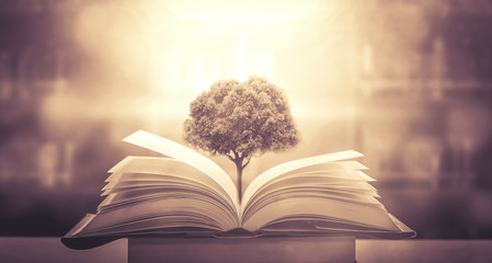 中医食疗常识里的四气和五味是指什么？