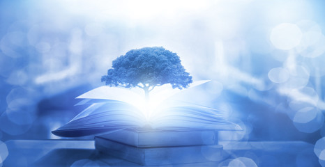 幼儿园体育教育活动设计教案