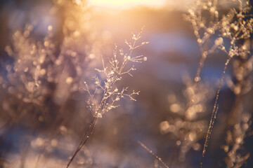 字谜.接音的古诗 歇后语 对联 笑话.和汉字的历史