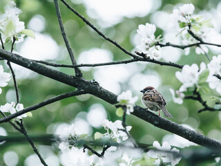 全国科技活动周低碳科普知识竞赛题(小学组)