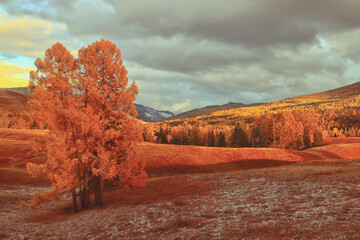女人梦见桃子什么意思