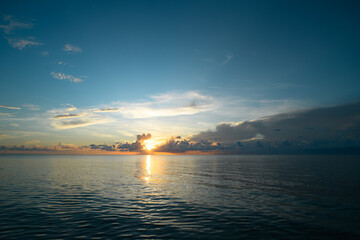 生僻唯美的花名大全