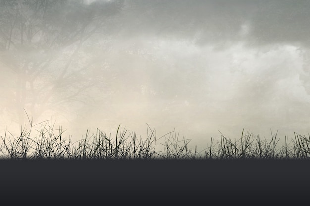 跟花有关的英文名