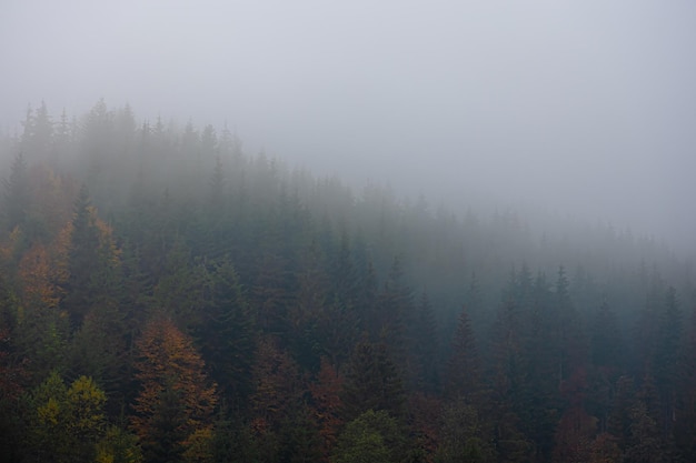 急救常识有哪些呢？