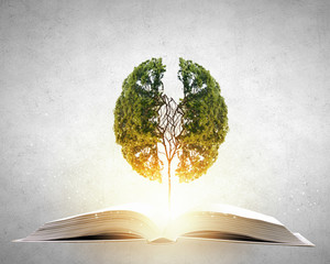 女人梦见桃子什么意思