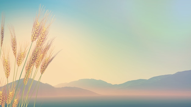 全国科技活动周低碳科普知识竞赛题(小学组)