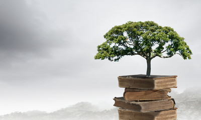 双语幽默英语笑话