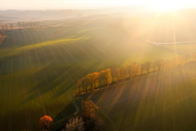 全国科技活动周低碳科普知识竞赛题(小学组)